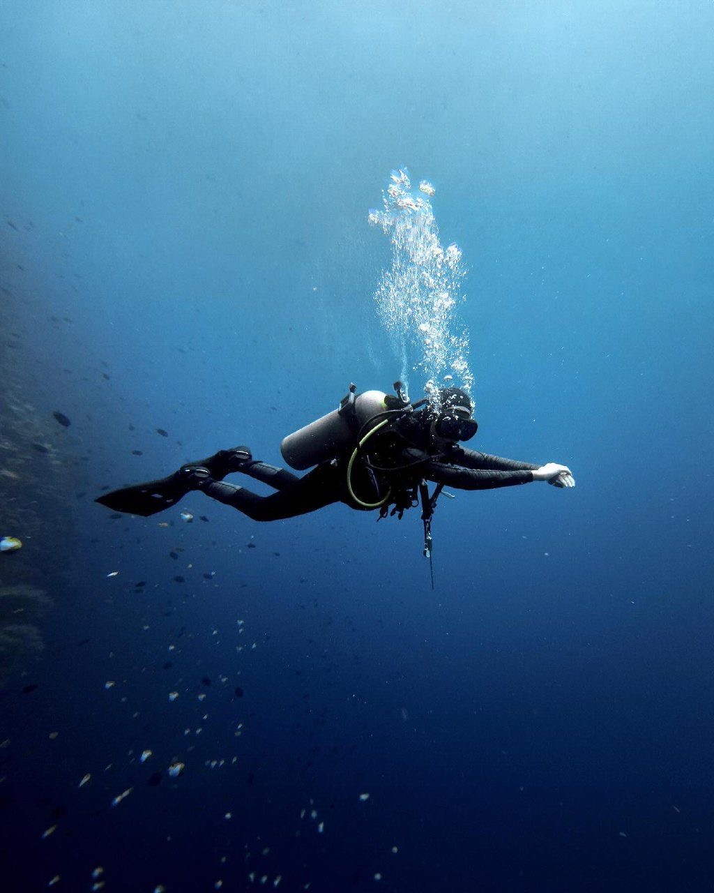 Discover Diving